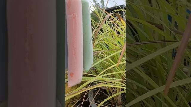 Flavored ice candy смотреть онлайн