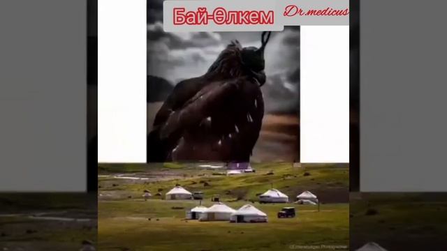 Бай-Өлке мәңгі жасасын! смотреть онлайн