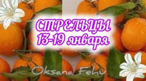 СТРЕЛЬЦЫ. Неделя 13 - 19 января.