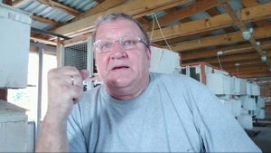 Инбридинг у кроликов.Как не допустить близкородственные связи. 3 простых правила.  Макляк Макрол