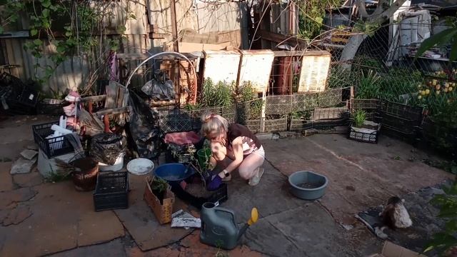мотивация,мощная на уборку возле дома и озеленяем участок, cleaning motivation, вечерняя уборка