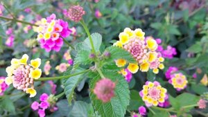 Современные юмористические рассказы для настроения #аудиокнигаслушать #рассказыслушать