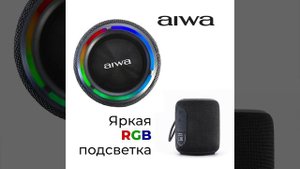 Портативная акустическая система AIWA PAS-H100 black
