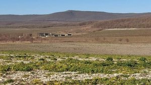 Тепло. Гуляем. Станица Натухаевская.