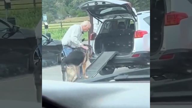 Пожилой мужчина заботится о своей пожилой собаке. смотреть онлайн