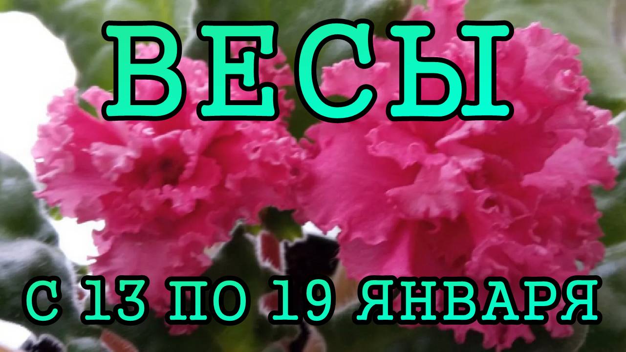 ВЕСЫ таро прогноз на неделю с 13 по 19 ЯНВАРЯ 2025 года.
