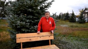 2023.  ёлочки притенять!