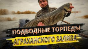 Фильм - Трофеи мечты! Подводная охота в невероятном прозраке Аграханского залива, Дагестан