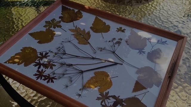 🍁🍁 УЮТНЫЙ ДЕНЬ ДОМА☀️ ПРИЯТНЫЕ ОСЕННИЕ ХЛОПОТЫ 🏠 Осенняя Феерия цвета #garden #дом