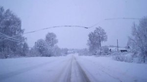 В зимнем лесу - 2023. После снегопадов