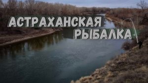 РЫБАЛКА В АСТРАХАНИ 2025