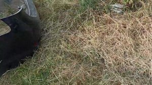 Снимаем задний бампер на Lexus HS250