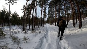 Зимние гуляки 2024.mp4