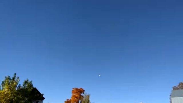 голуби Kz