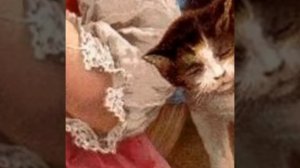 Я свяжу тебе жизнь.