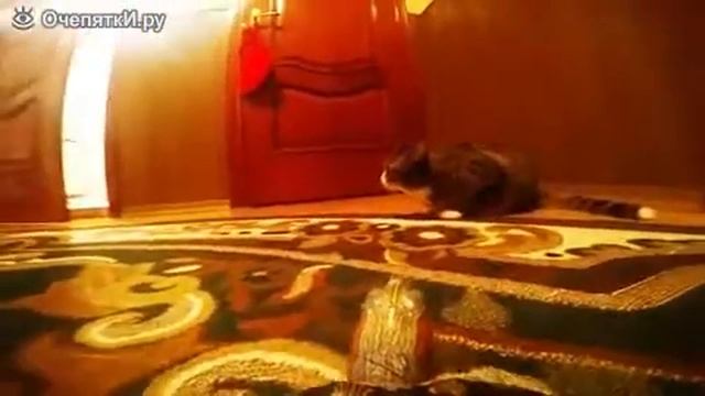 Руры смотреть онлайн