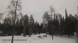 Зима