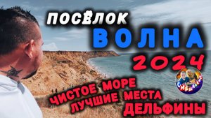 Посëлок ВОЛНА 2024/МУСОР,МЕДУЗЫ ЭТОГО НЕТ,А ВОТ ДЕЛЬФИНЫ ЕСТЬ #голубицкая #черноеморе #азовскоеморе