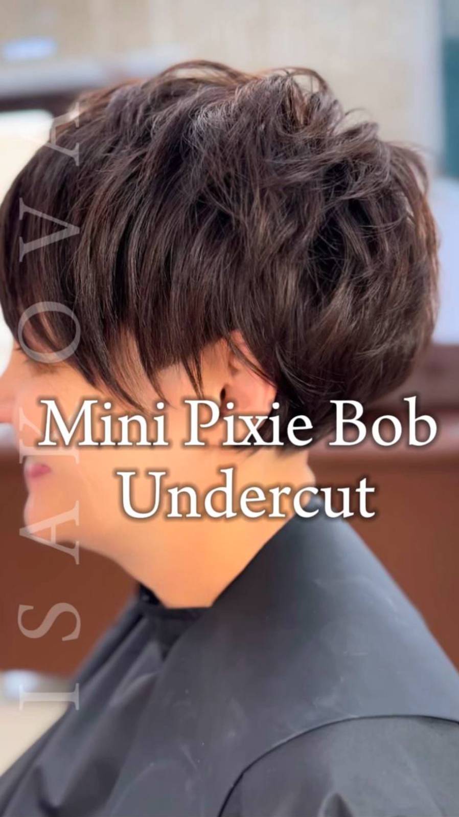 Mini Pixie Bob Undercut!