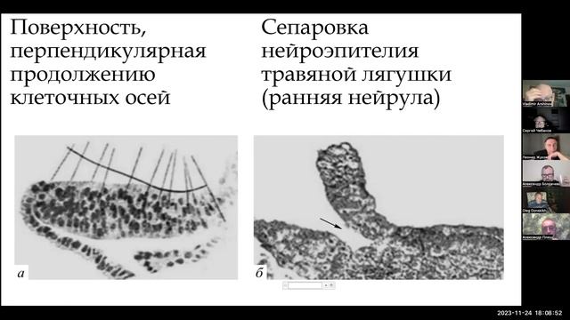 Сергей Чебанов - Динамически преформированная морфа смотреть онлайн