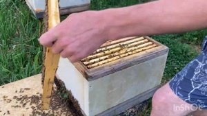 Контрольный осмотр семьи воспитательницы