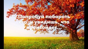 Что разрушает любовь?