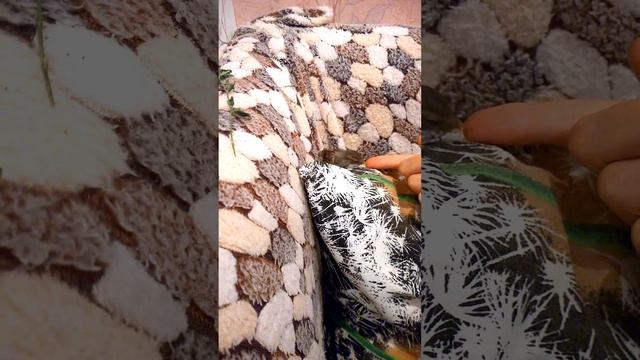 Кушает червячка 🪱 воробей Боня