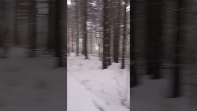 Есауловская петля