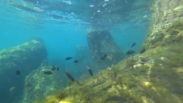 СОЧИ. ИМЕРЕТИНКА. Пляж "Роза Хутор". Чистое море. Подводный мир .. смотреть онлайн
