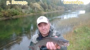 Рыбалка на Виледи. Хариус.