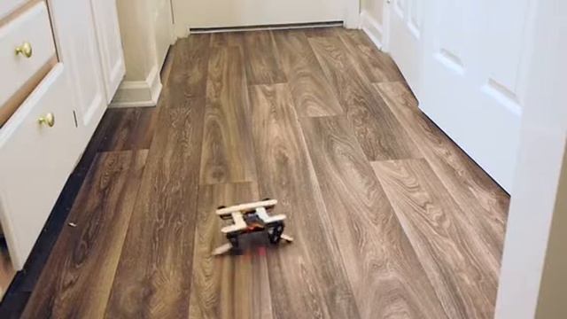 OpenCat Mini in Action | Arduino Pro Mini Motion Control! | PetoiCamp