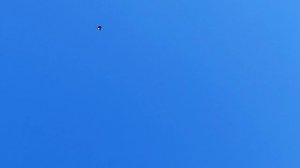 9.01.2025г Турецкая Такла Василия Николаевича👍 ст. Новокорсунская ч. 2