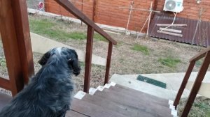 сочи горное лоо вечер 11.01.2025