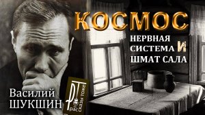 "КОСМОС, НЕРВНАЯ СИСТЕМА И ШМАТ САЛА" (Василий ШУКШИН) - читает Александр ДЕМИН.