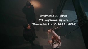 Содержание 17 серии (90 турецкая) третьего сезона сериала "Зимородок" (РФ, 2024 / 2025)