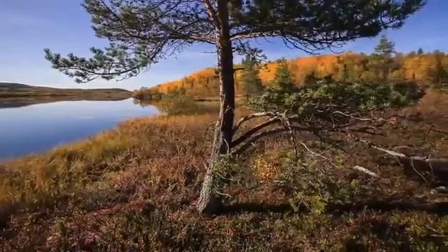 "Даль великая", поёт Анна Киселёва смотреть онлайн