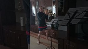 Одинокий пастух