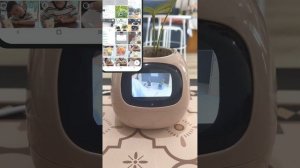 GUIDE_Custom Animation feature for smart pet planter Ivy