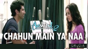 Chahun Main Ya Naa Full Song Aashiqui 2 | Aditya Roy Kapur, Shraddha Kapoor