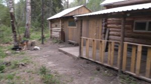 Рыбалка в Тайге 2023 Рудиковка Серега Собака Джек Иван