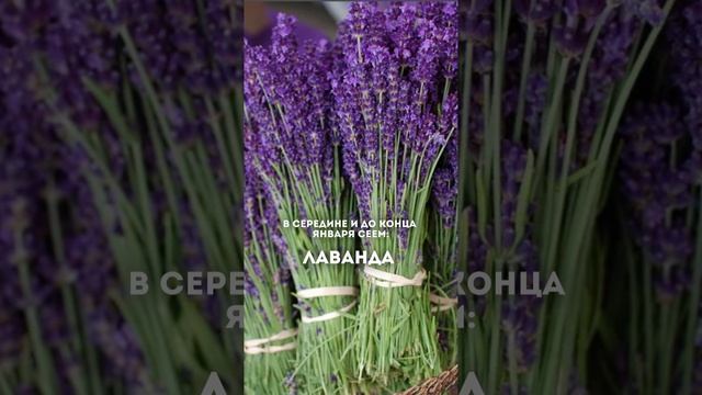 Друзья, уже сейчас вы можете начать готовиться к новому дачному сезону 🔥