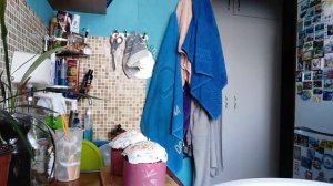 Мои выходные / Много покупок Новости / Что приготовила / Влог