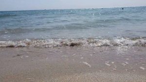 Наш первый ВЛОГ. Мили, Вили и Босс отдыхают в КРЫМУ