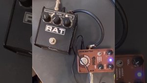 PROCO Rat vs $20 Dolamo Distortion (rat clone)