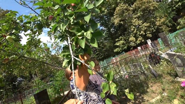 СОЧИ. РЕКА МЗЫМТА. АХШТЫРСКОЕ УЩЕЛЬЕ ..