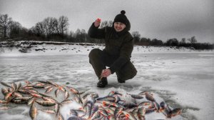 ДАВНО У МЕНЯ ТАКОЙ РЫБАЛКИ НЕ БЫЛО! НАШЛИ СКОПЛЕНИЕ ОКУНЯ И ДАВАЙ ТАСКАТЬ.