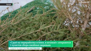 «Сдай на переработку и ёлки, и иголки!»: откроются 7 пунктов сбора хвойных деревьев