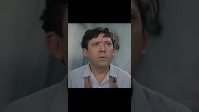 Как в Бриллиантовой руке))) #shorts #shortvideo #short #котики #юмор смотреть онлайн