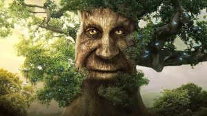 проклятье мудрого дуба часть 2