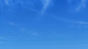 9.01.2025г Посадка Белых Бакинских 👍